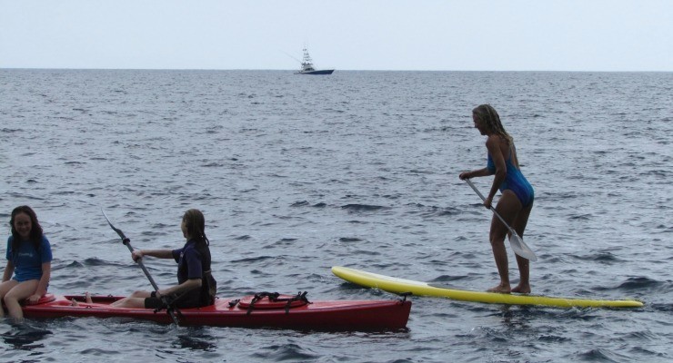 kayak and paddle